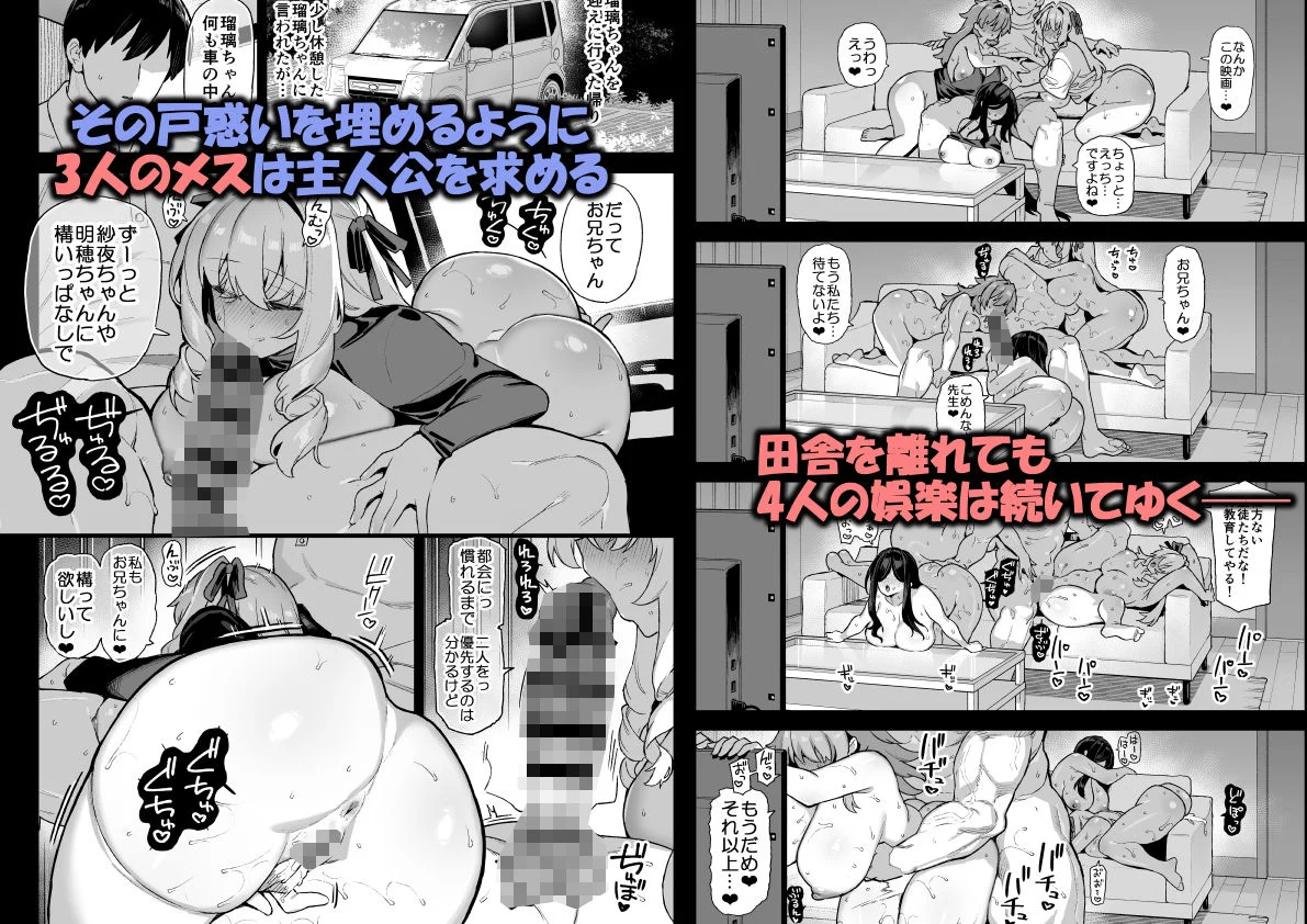 田舎にはこれくらいしか娯楽がない 総集編 2 画像6